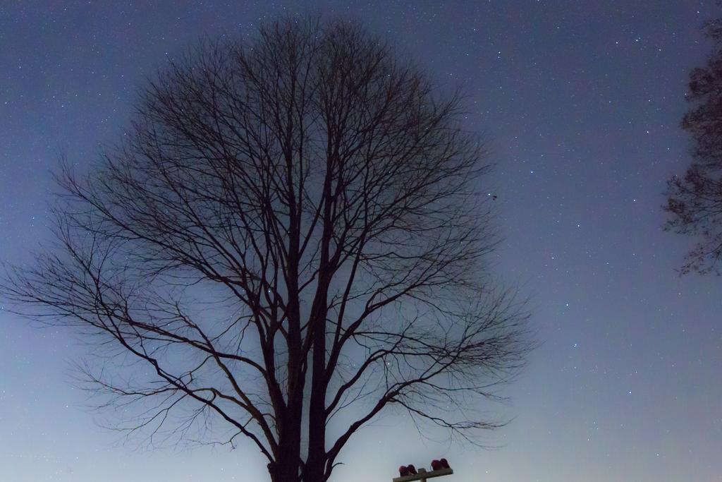 Отель Minami Aso Luna Observatory Auberge Mori No Atelier Minamiaso Экстерьер фото