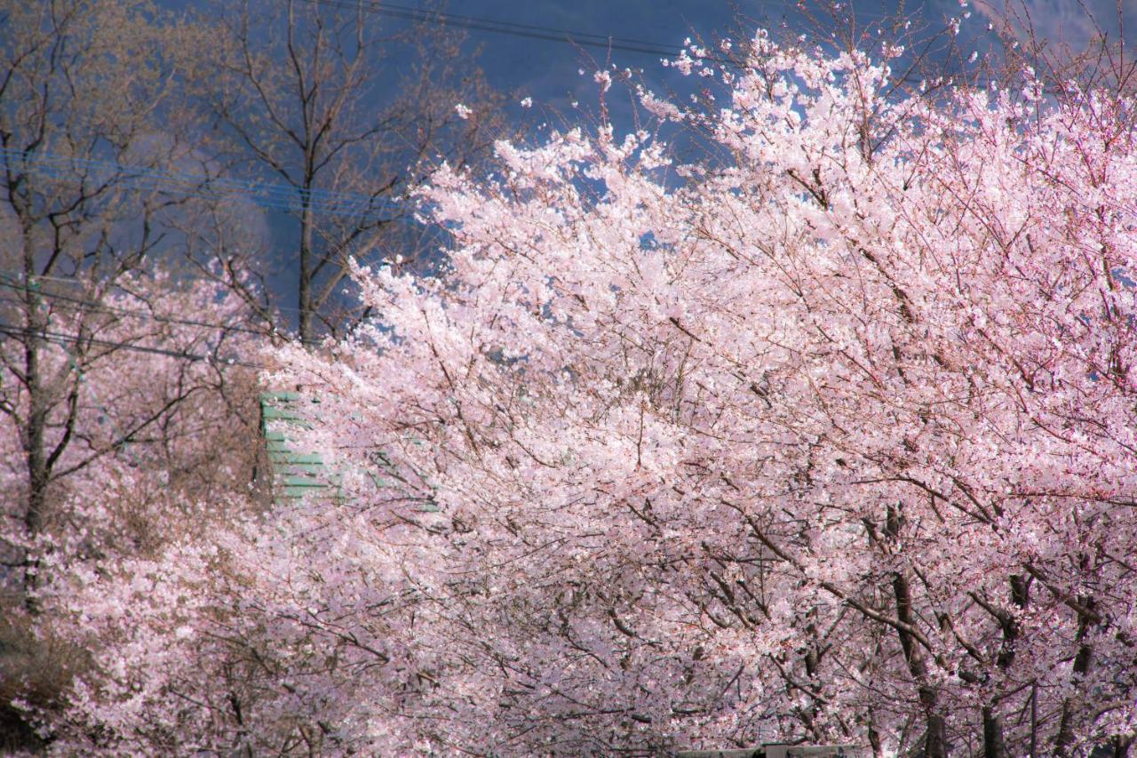 Отель Minami Aso Luna Observatory Auberge Mori No Atelier Minamiaso Экстерьер фото