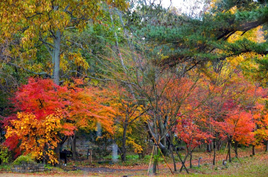 Minami Aso Luna Observatory Auberge Mori No Atelier Minamiaso Экстерьер фото