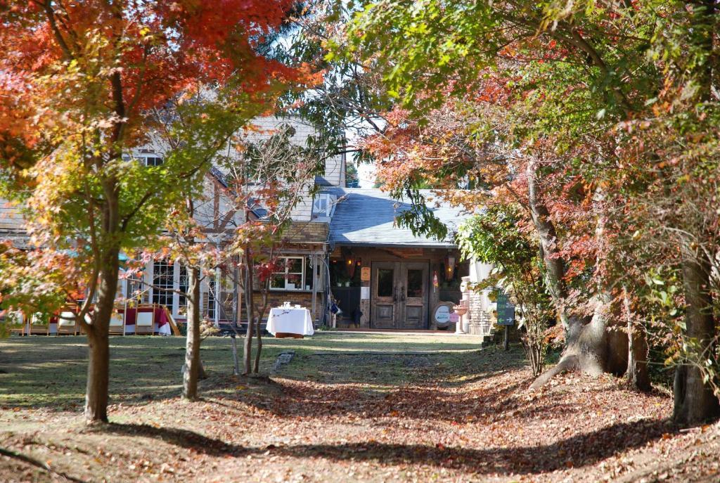 Отель Minami Aso Luna Observatory Auberge Mori No Atelier Minamiaso Экстерьер фото