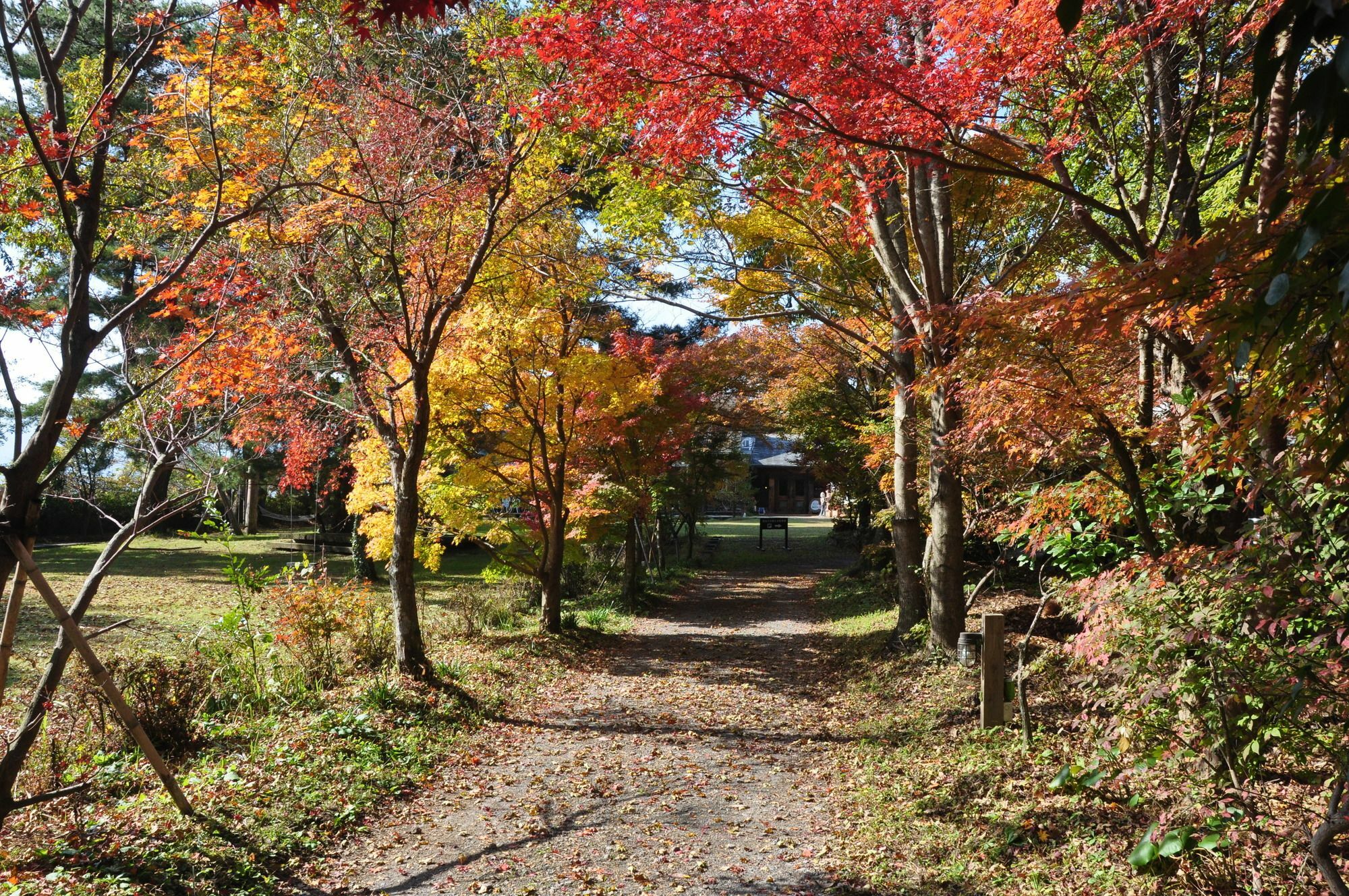 Отель Minami Aso Luna Observatory Auberge Mori No Atelier Minamiaso Экстерьер фото