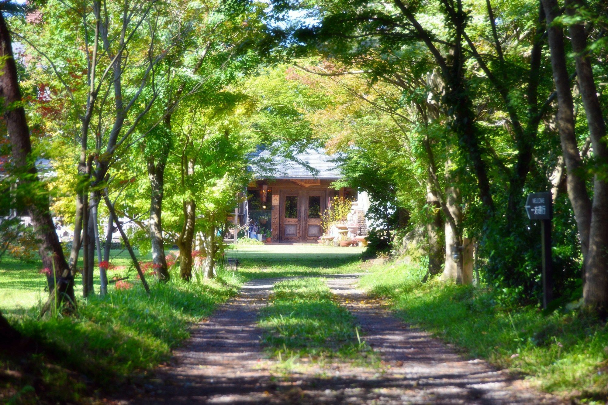 Отель Minami Aso Luna Observatory Auberge Mori No Atelier Minamiaso Экстерьер фото