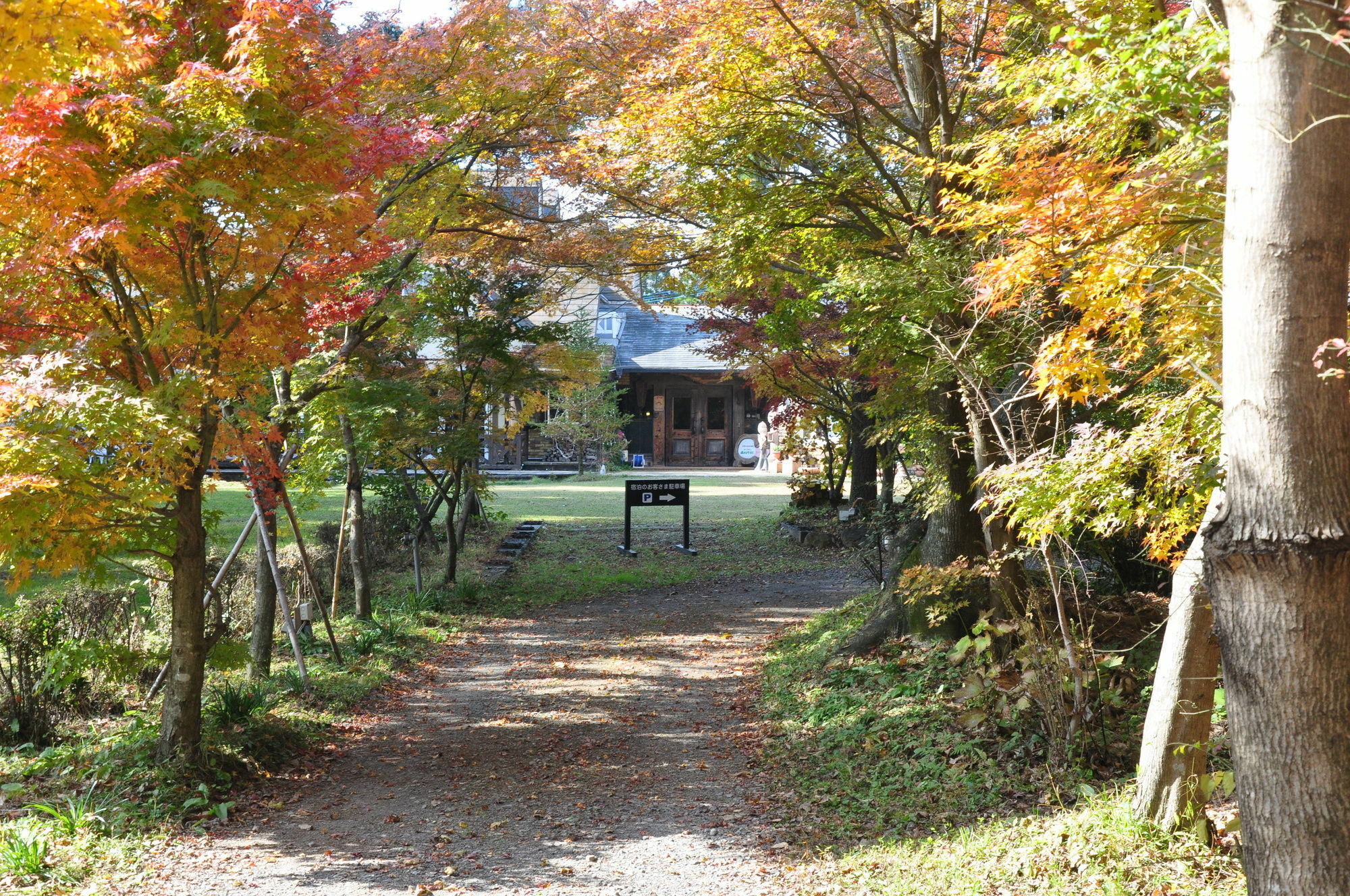 Minami Aso Luna Observatory Auberge Mori No Atelier Minamiaso Экстерьер фото